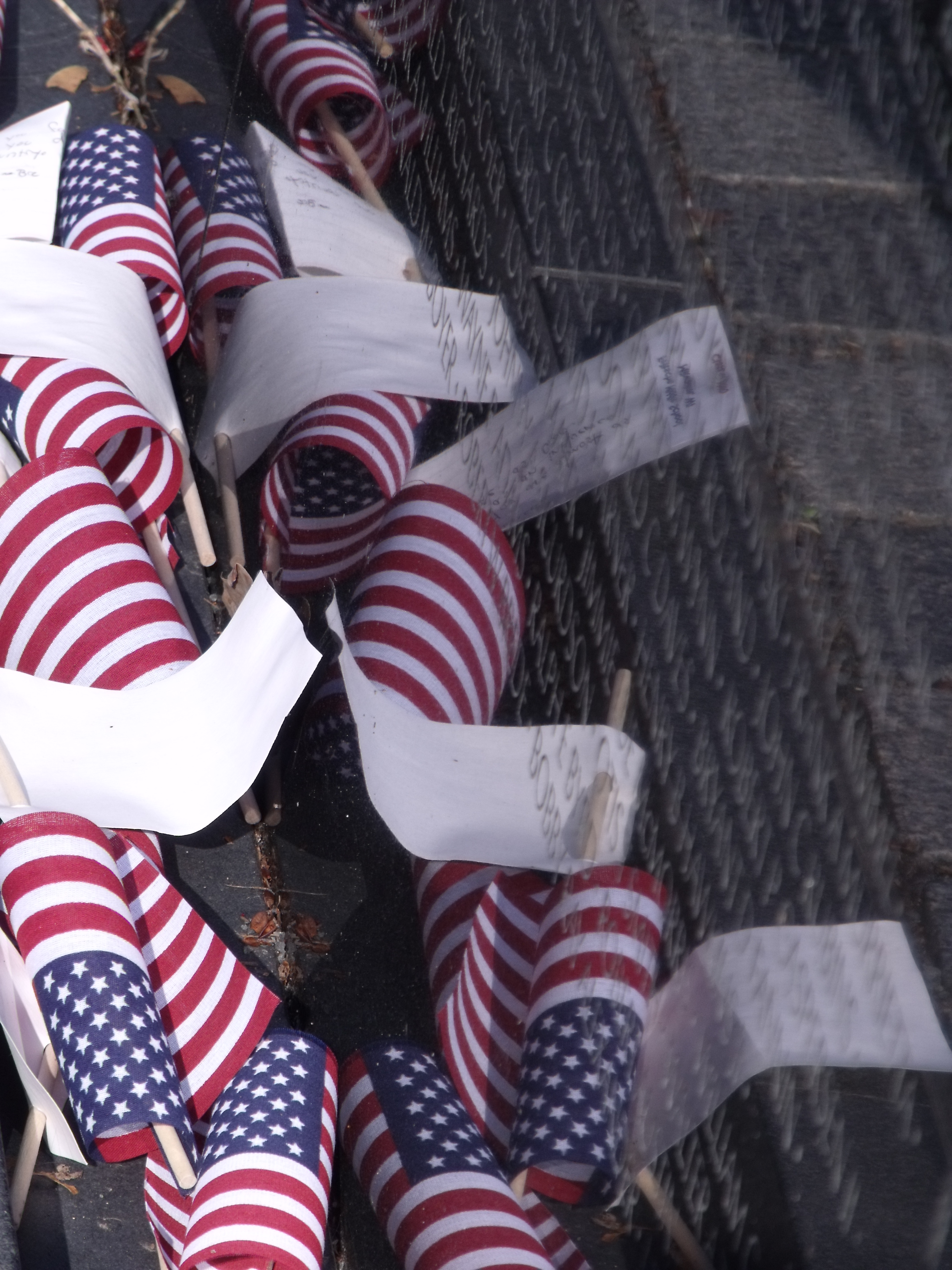 Vietnam Memorial Washington D.C.