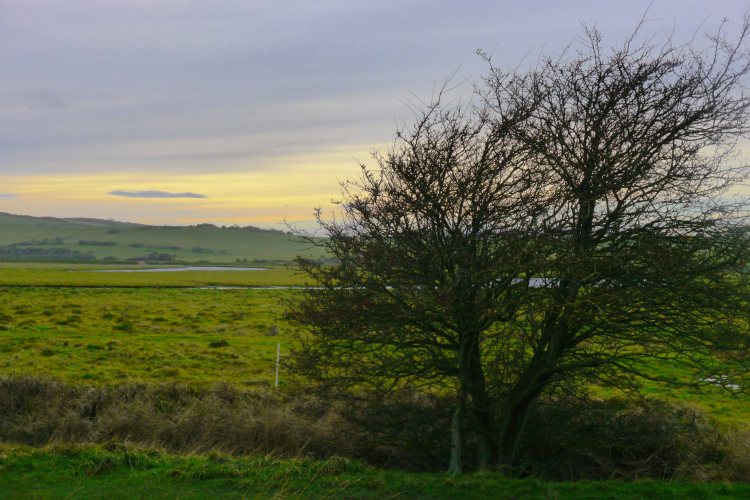 Seven Sisters Country Park