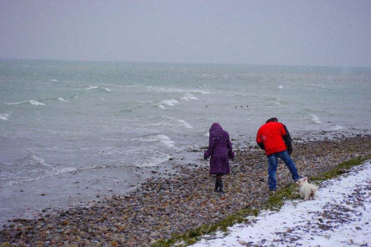 Walking Along The Beach