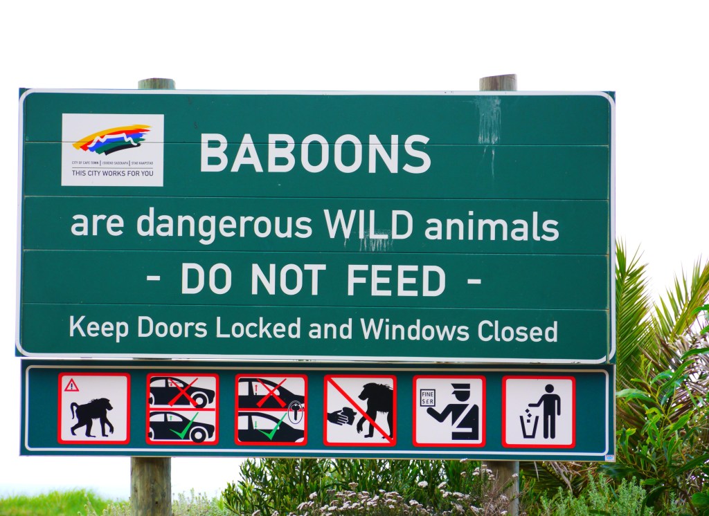 Day 31: Signs&nbsp;again