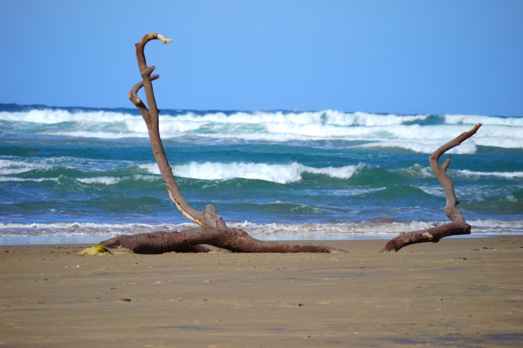 Day 47: Between East London and the southern part of the Wild&nbsp;Coast