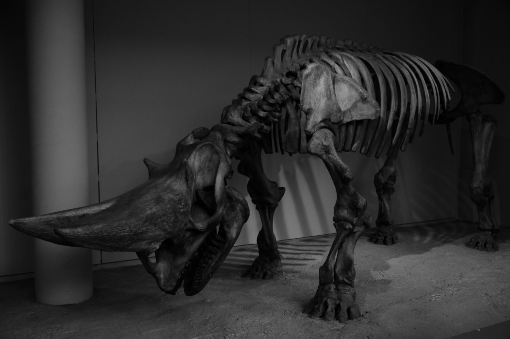 National History Museum&nbsp;London