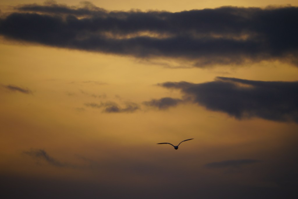 At the North Sea Coast –&nbsp;Varel