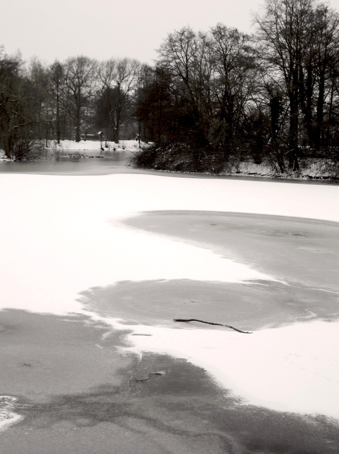 Frozen Lake