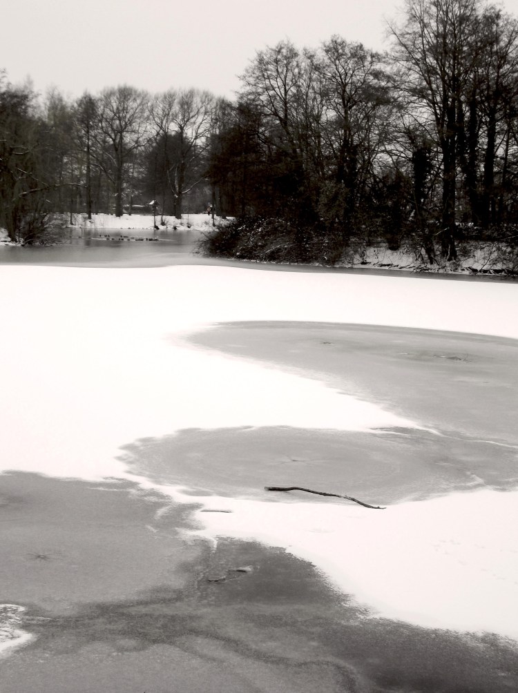 Frozen Lake
