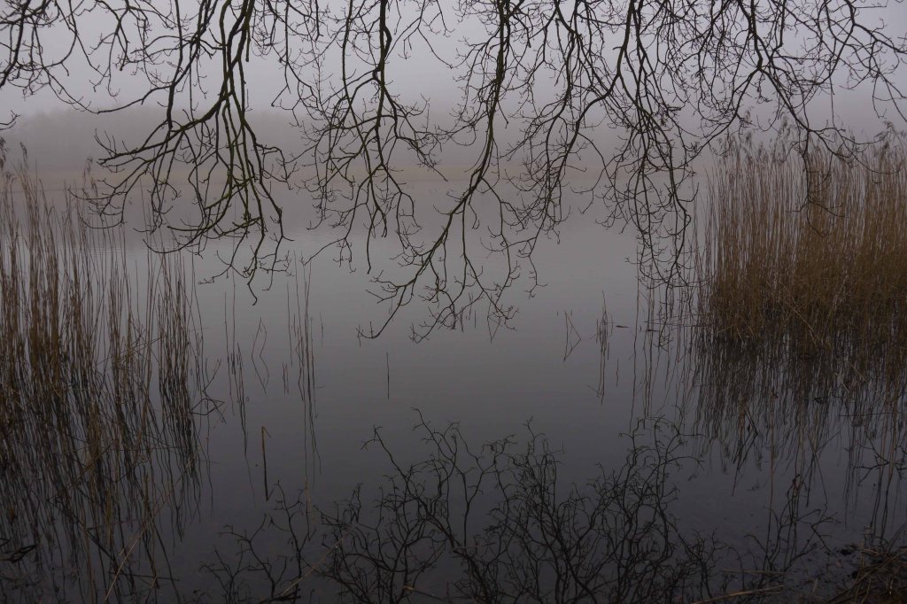 Secrets in the&nbsp;Fog