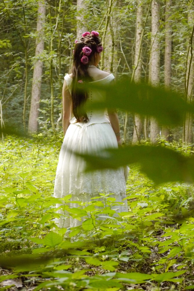 Fairy Tale Princess 1