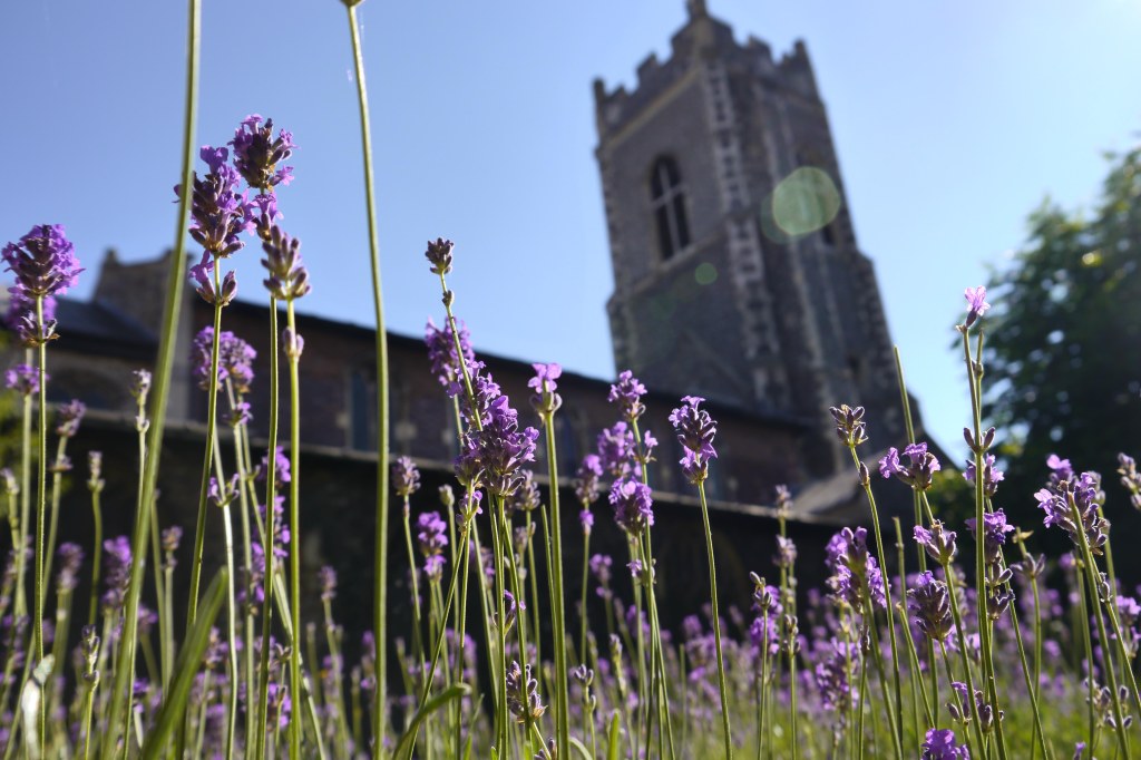 Norwich in early&nbsp;July