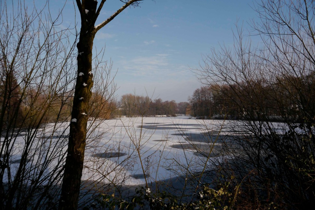 First Snow in&nbsp;January