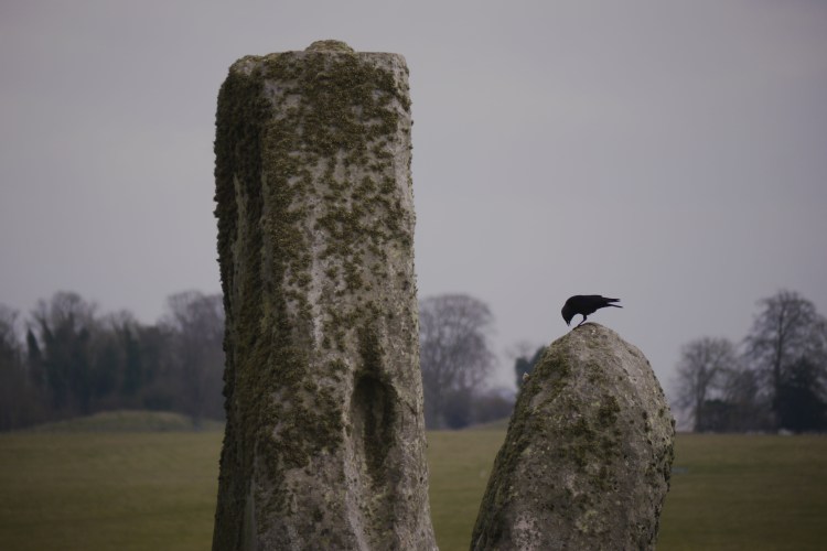 Stonehenge 4