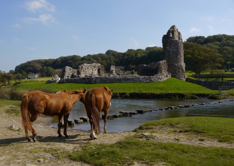 Horses at Ogmore Castle