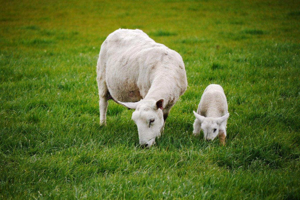 Meet my new&nbsp;neighbours