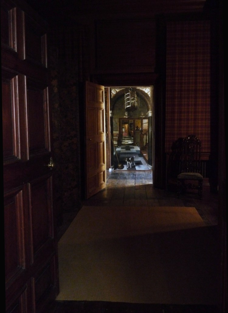 Optical Illusion_small