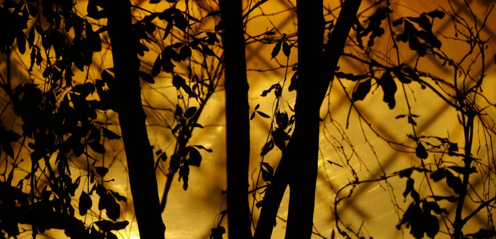 One evening in&nbsp;October…