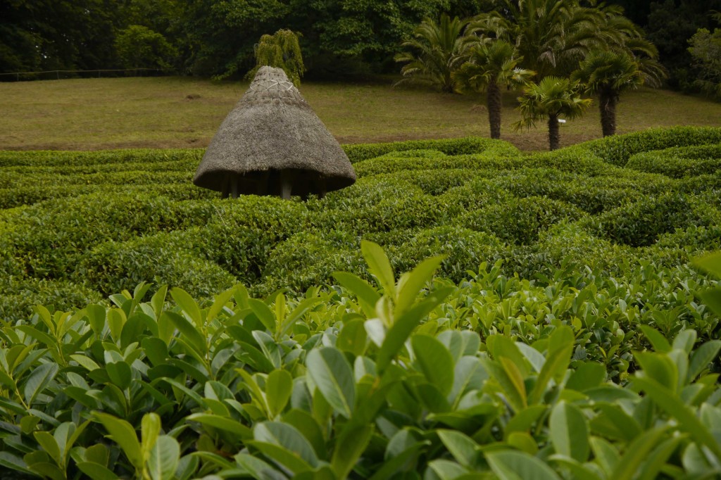 Glendurgan Garden, Cornwall, August&nbsp;2018