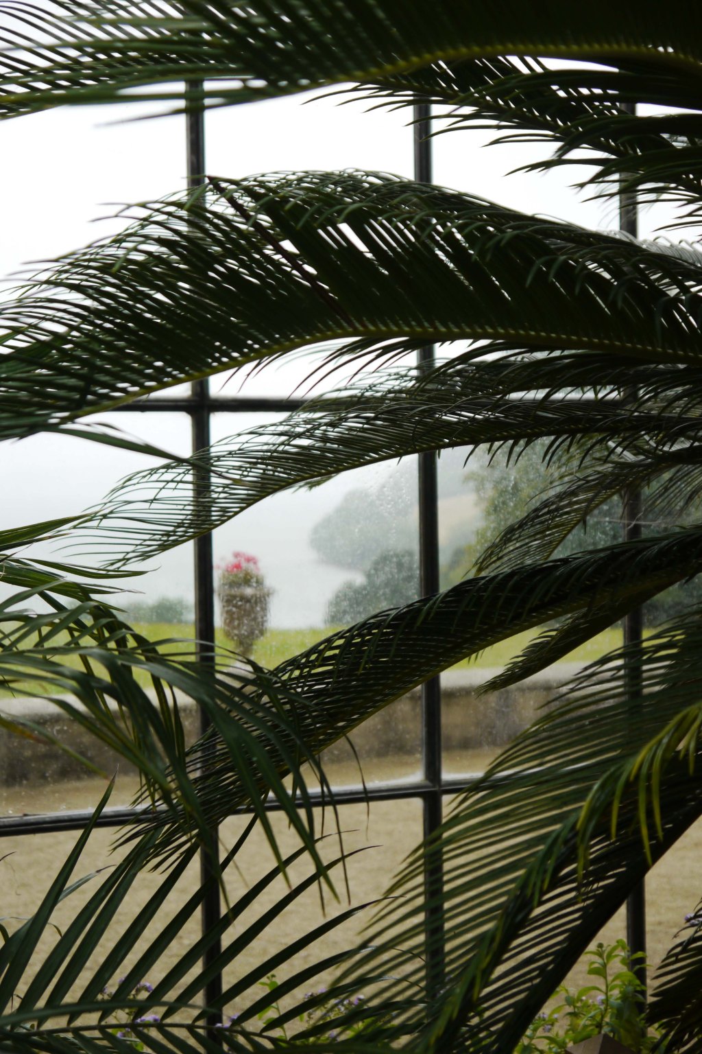 Trelissick House and Garden, Cornwall, August&nbsp;2018