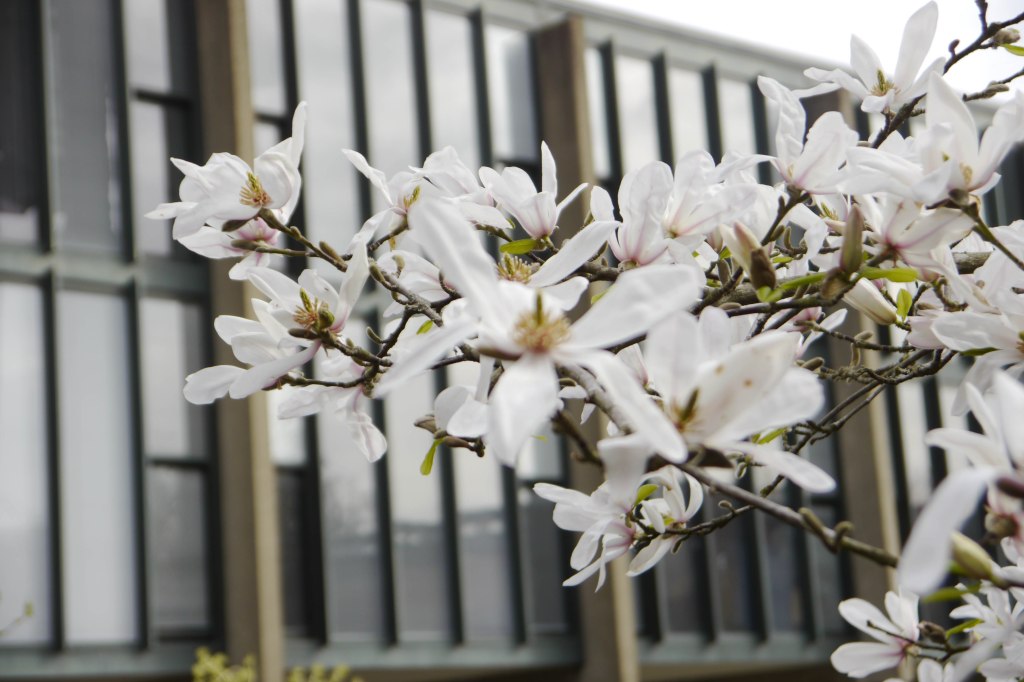 Oxford Colleges (5): St Catherine’s&nbsp;College
