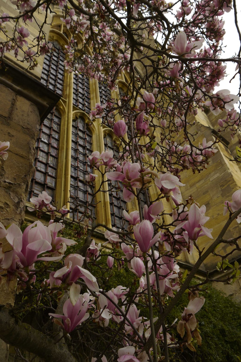 Oxford Colleges 6: New&nbsp;College
