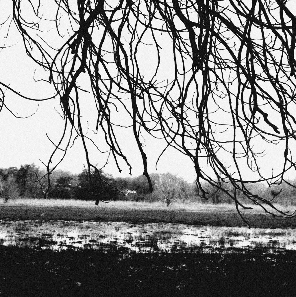 In a Frozen Field (2017) – Short&nbsp;Story